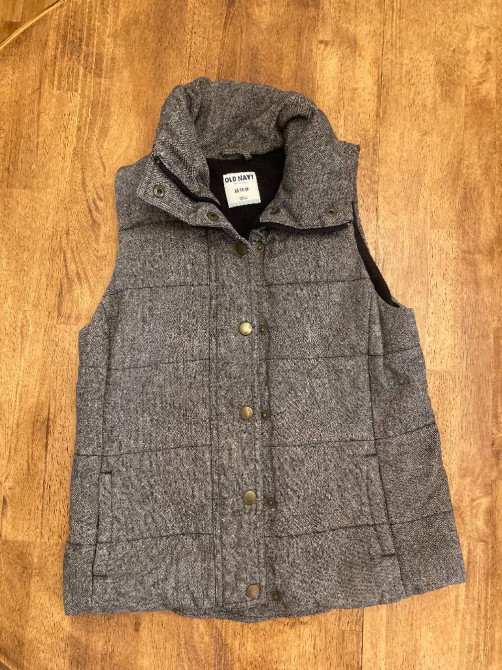 Fleece Vest (Old Navy)
